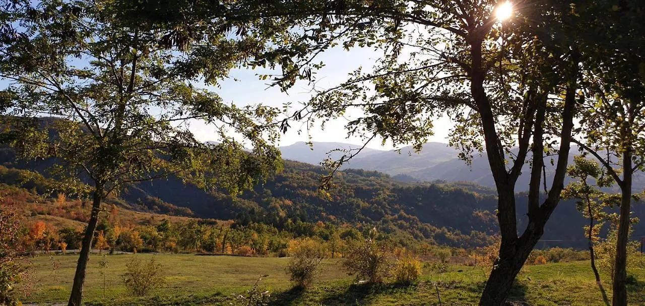 Bed & Breakfast La Meridiana House Monterenzio