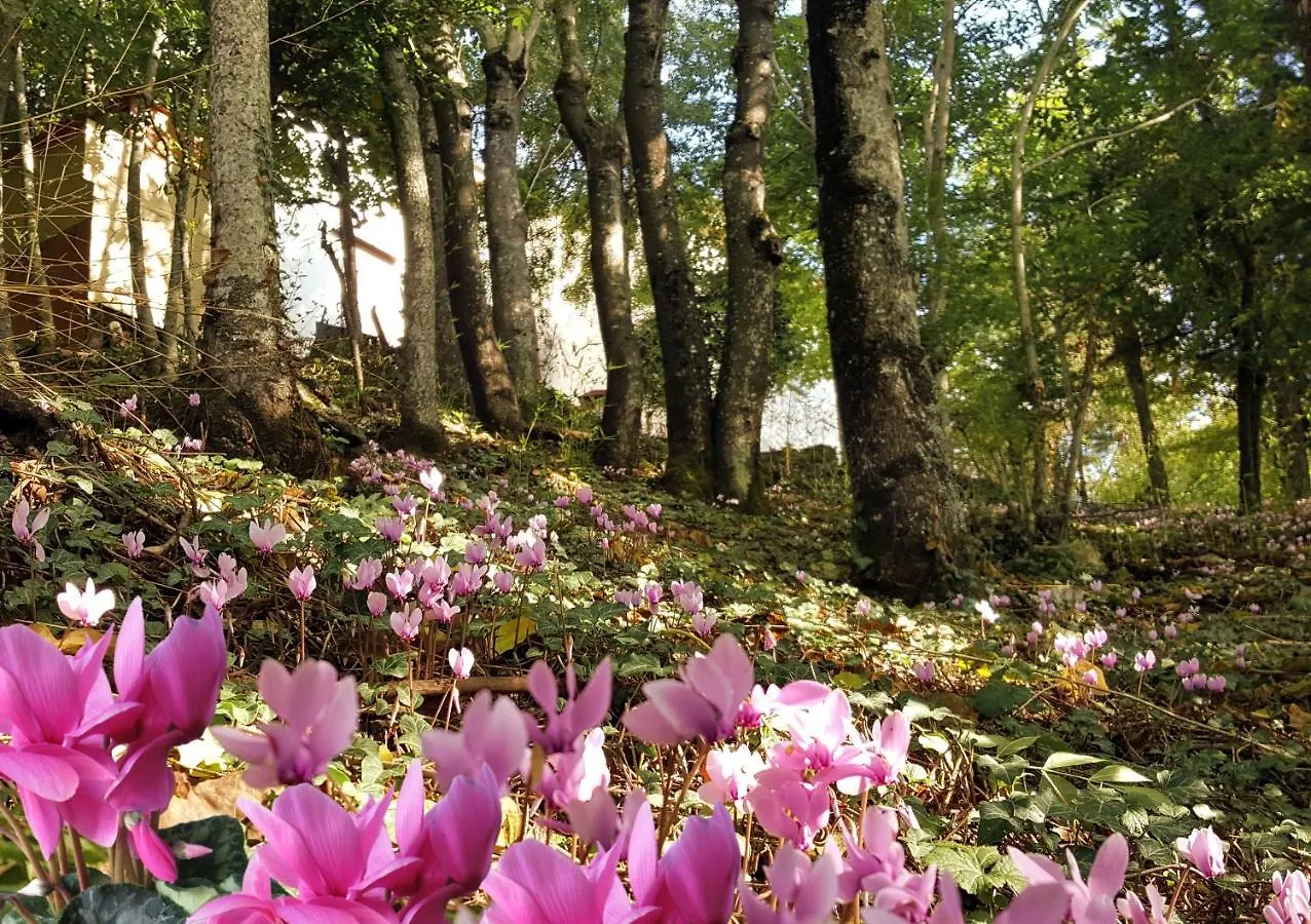 Bed & Breakfast La Meridiana House Monterenzio Italy