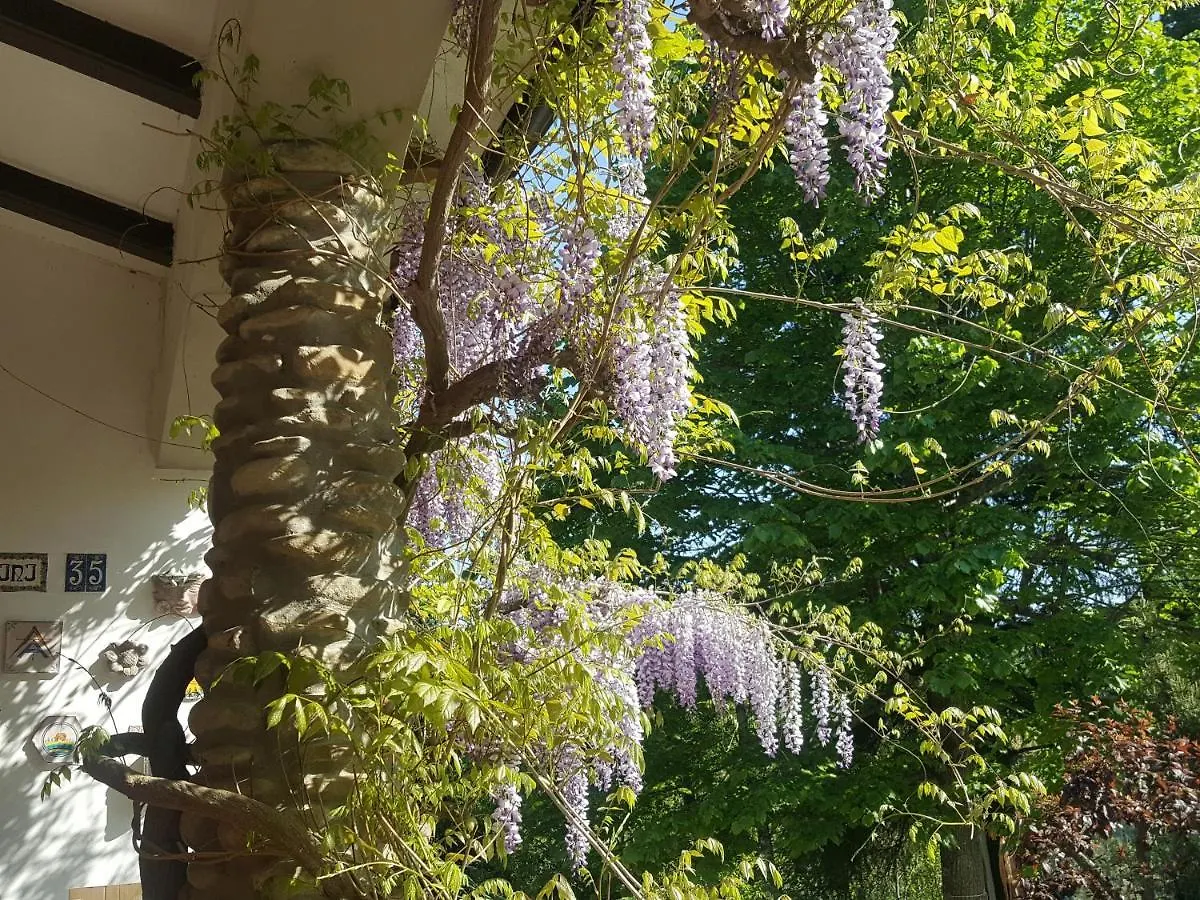 La Meridiana House Monterenzio Bed & Breakfast